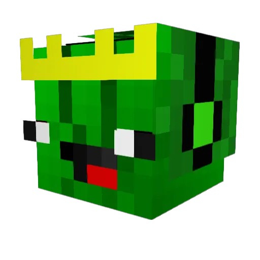 PickleLord123 Minecraft avatar head, 3D render