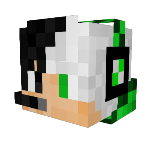 PickleODillFTW Minecraft avatar head, 3D render