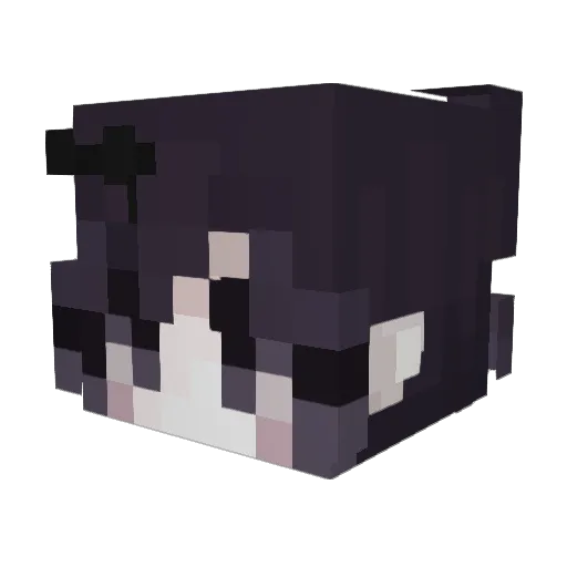PicklePackles Minecraft avatar head, 3D render