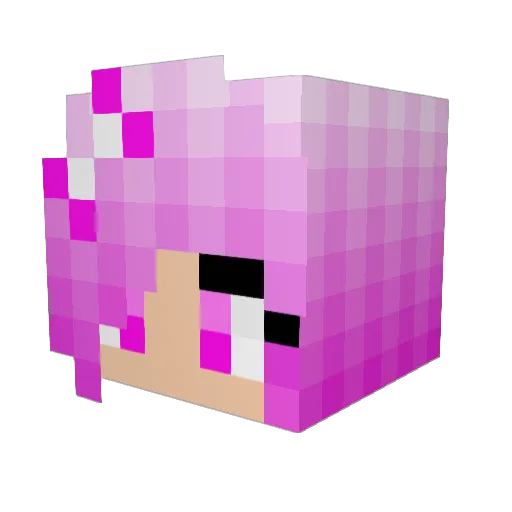 PicklePickle Minecraft avatar head, 3D render