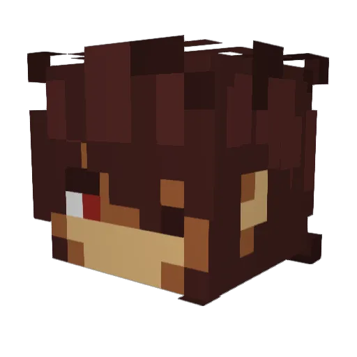 PicklePizza124 Minecraft avatar head, 3D render