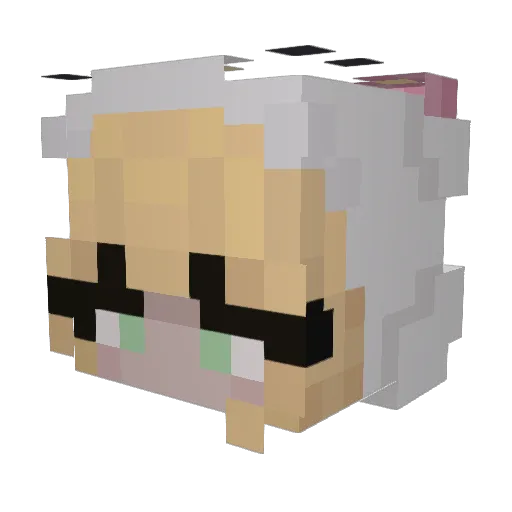PicklePower08 Minecraft avatar head, 3D render