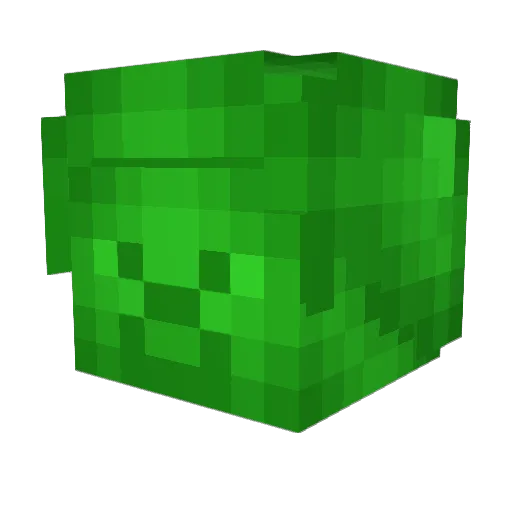 PicklePower666 Minecraft avatar head, 3D render
