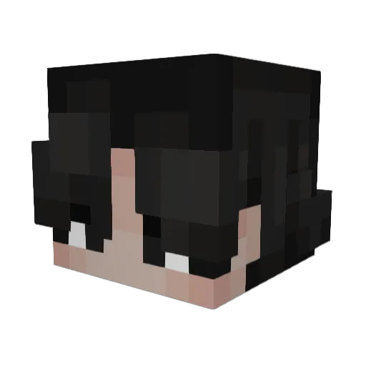 PickleRick1216 Minecraft avatar head, 3D render