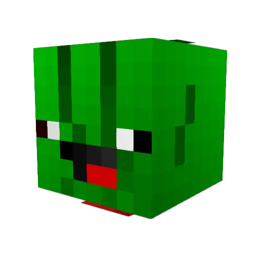 PickleRick___ Minecraft avatar head, 3D render