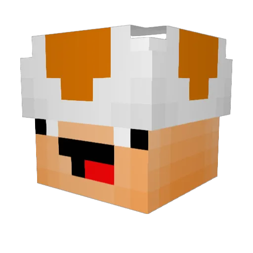 PickleRiple Minecraft avatar head, 3D render