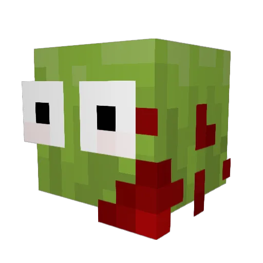 PickleToes11 Minecraft avatar head, 3D render