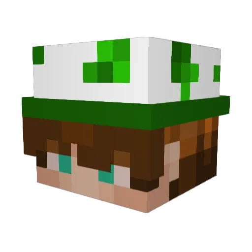 Pickle_77 Minecraft avatar head, 3D render