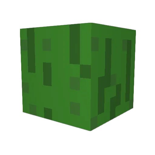 Pickle_Mike Minecraft avatar head, 3D render
