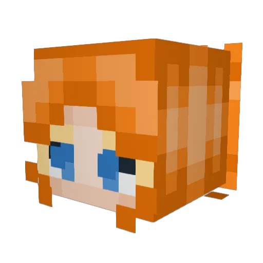 Pickle__Tickler Minecraft avatar head, 3D render