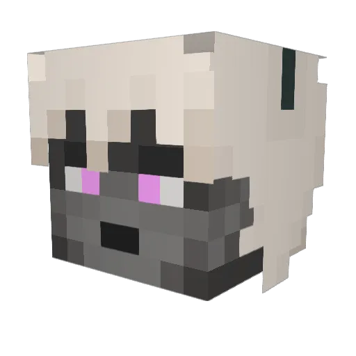 Pickle_butter Minecraft avatar head, 3D render