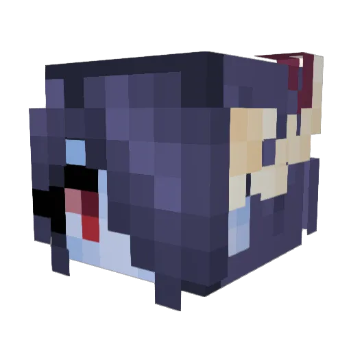 PickledRegret Minecraft avatar head, 3D render