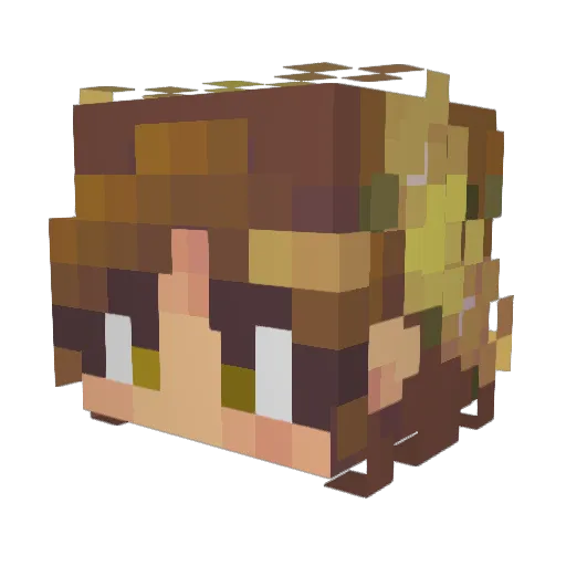PickledSammiches Minecraft avatar head, 3D render