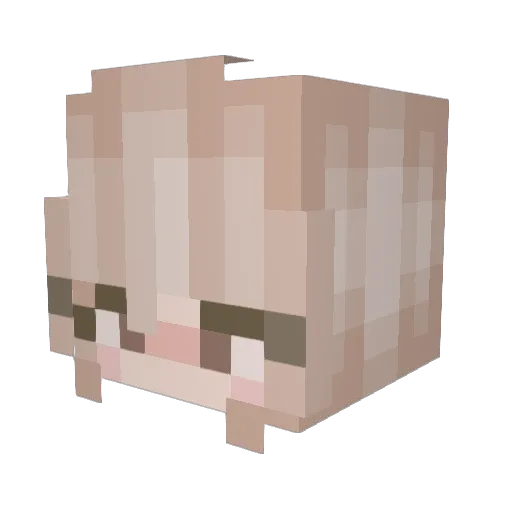 PickledShrimp Minecraft avatar head, 3D render