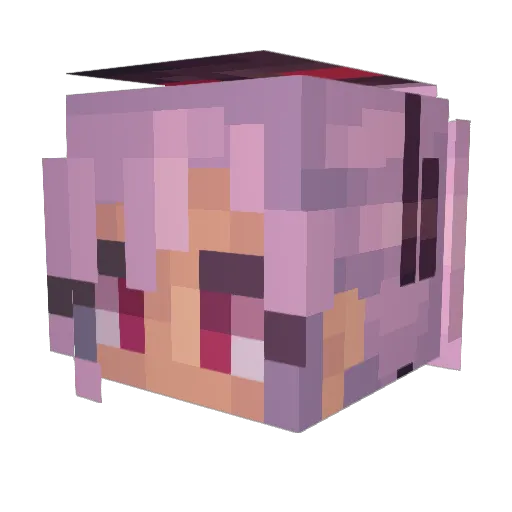 Picklejellyjam Minecraft avatar head, 3D render