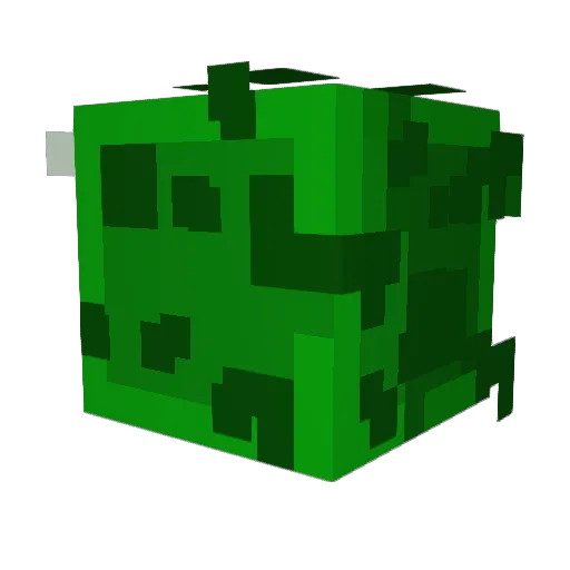 Picklerick50521 Minecraft avatar head, 3D render