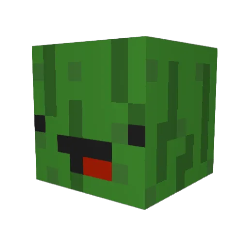 Pickles0313 Minecraft avatar head, 3D render