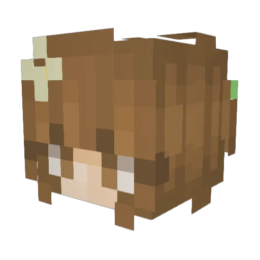 Pickles218 Minecraft avatar head, 3D render