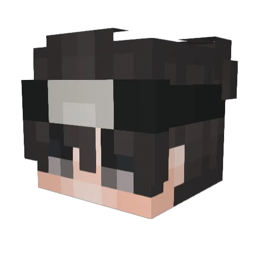 Pickles998 Minecraft avatar head, 3D render