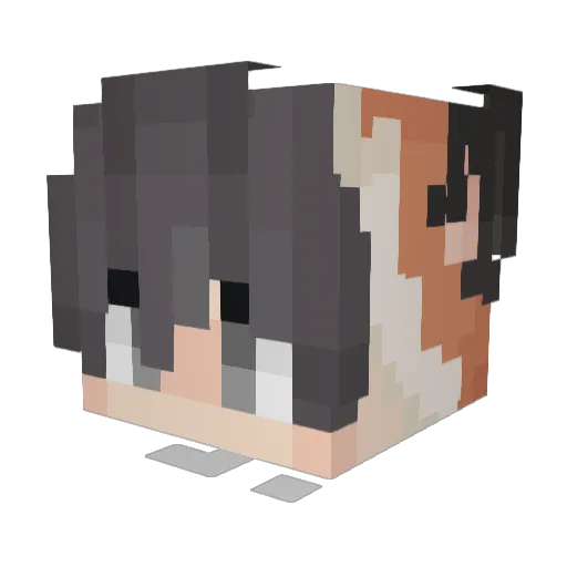 Picklesnshakes Minecraft avatar head, 3D render