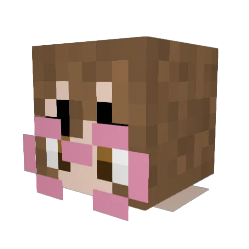 Picklespop Minecraft avatar head, 3D render
