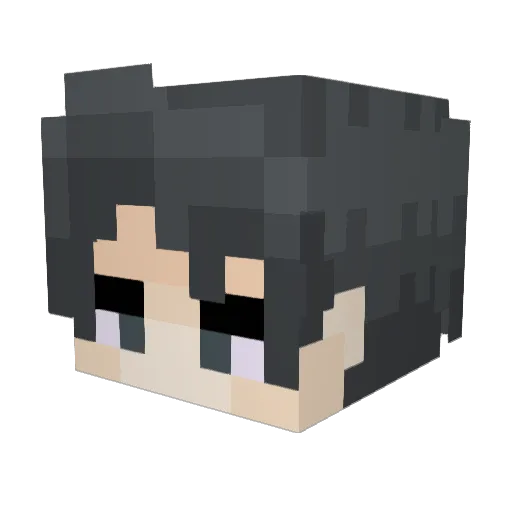 Picklqous Minecraft avatar head, 3D render