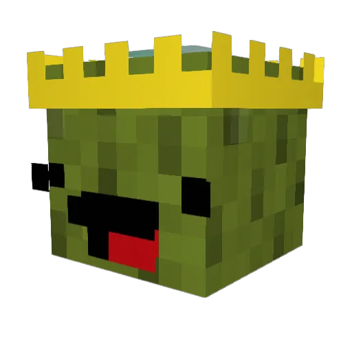 Pickolas_ Minecraft avatar head, 3D render
