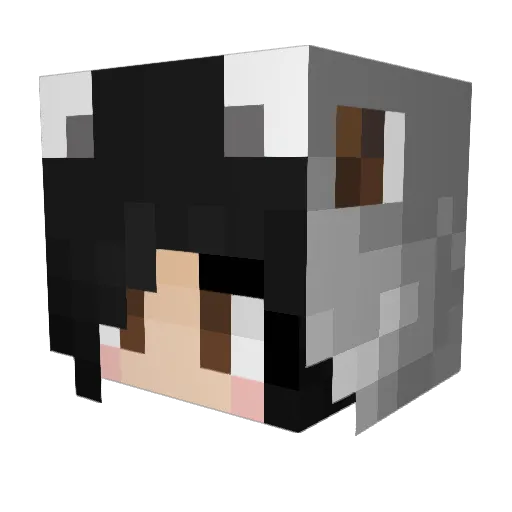 Picky_Blue Minecraft avatar head, 3D render