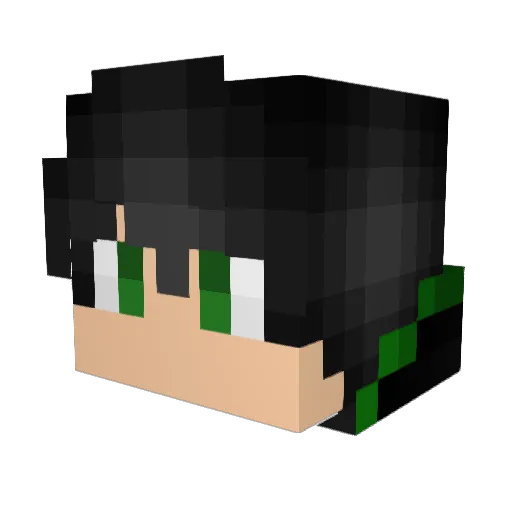 Picle1 Minecraft avatar head, 3D render