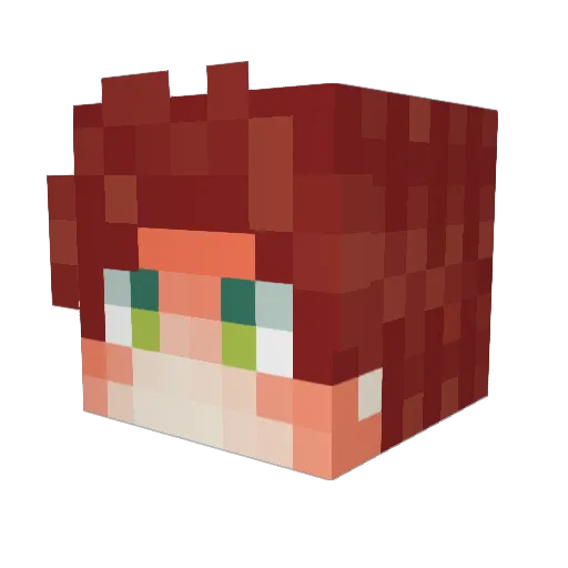Piclez228 Minecraft avatar head, 3D render