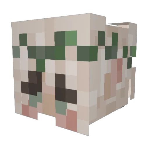 PicnicPlease Minecraft avatar head, 3D render