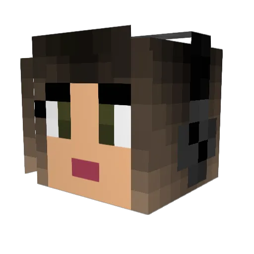 Picsou008 Minecraft avatar head, 3D render