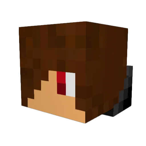 Pid9ey Minecraft avatar head, 3D render