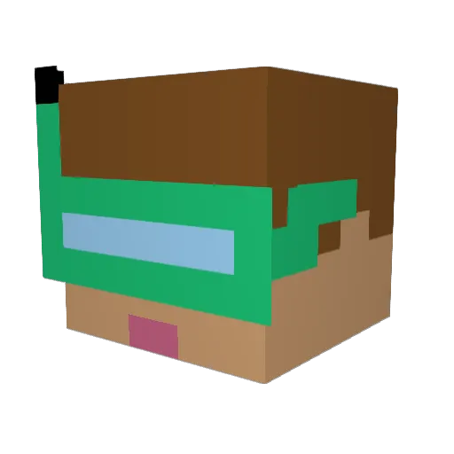 Pidepide6188 Minecraft avatar head, 3D render