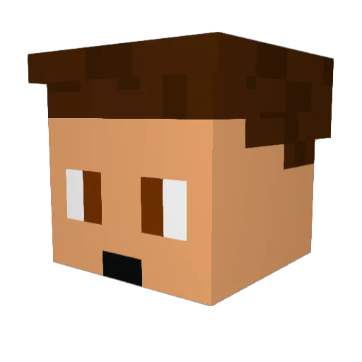 Pidgemuffin98 Minecraft avatar head, 3D render