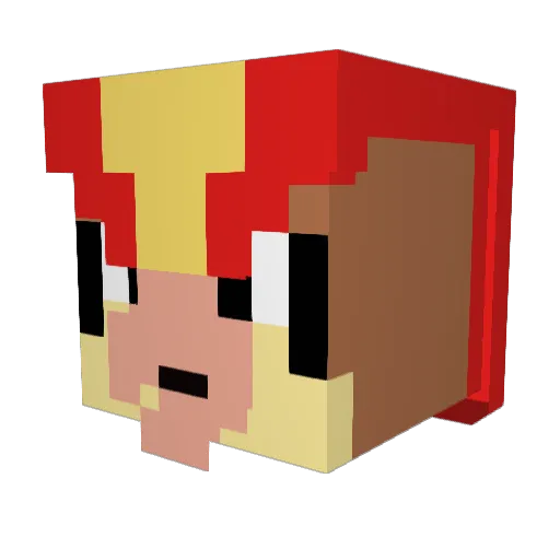 Pidgeot0602 Minecraft avatar head, 3D render