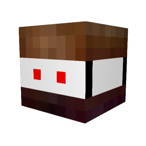 PidgetMornLover Minecraft avatar head, 3D render