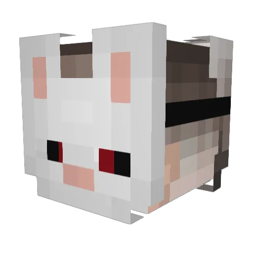 Pidgeybank Minecraft avatar head, 3D render