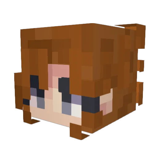 Pidhugo Minecraft avatar head, 3D render