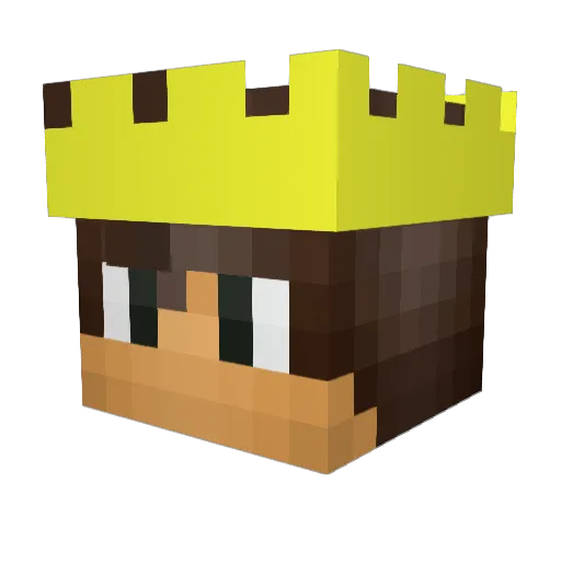 Pidove Minecraft avatar head, 3D render