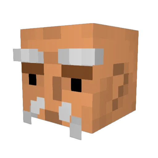 Pidoy Minecraft avatar head, 3D render