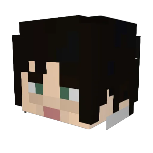 Pidrilkins Minecraft avatar head, 3D render