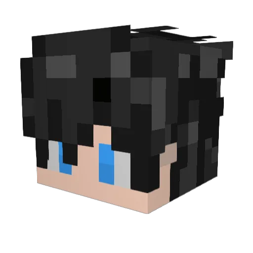 Pie1502 Minecraft avatar head, 3D render