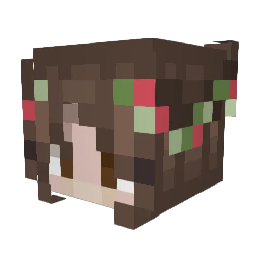 Pie1810 Minecraft avatar head, 3D render