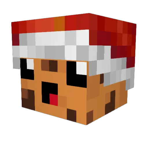 Pie4ienkaaa Minecraft avatar head, 3D render