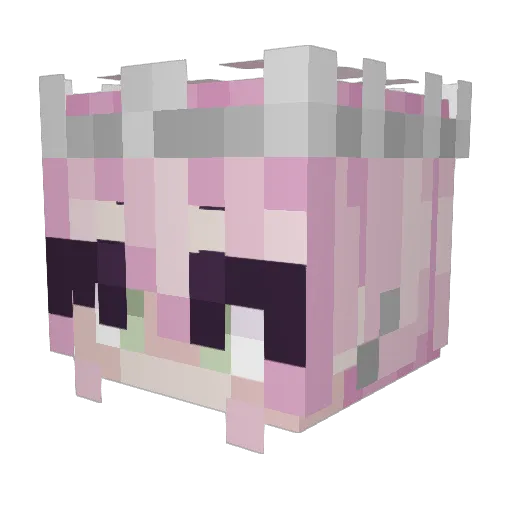 Pie9989 Minecraft avatar head, 3D render