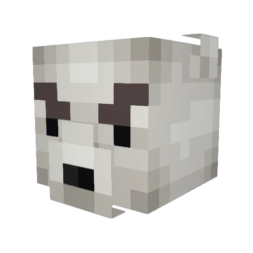 PieCorp Minecraft avatar head, 3D render
