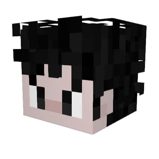 PieceCtrlPaco Minecraft avatar head, 3D render