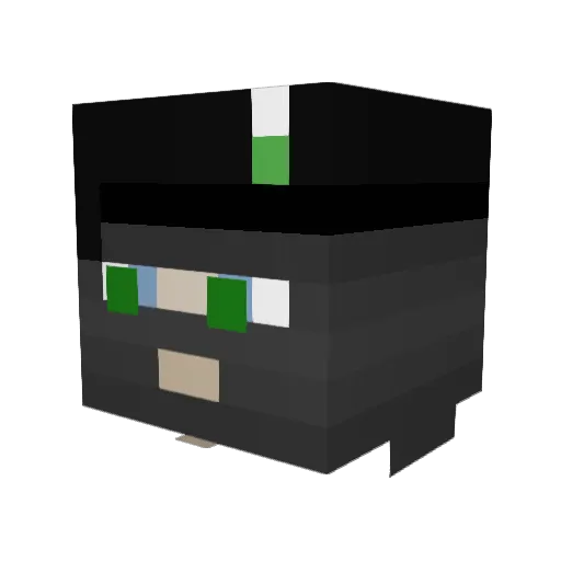 PiecesReeces69 Minecraft avatar head, 3D render