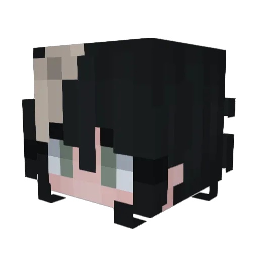 Piecreep Minecraft avatar head, 3D render